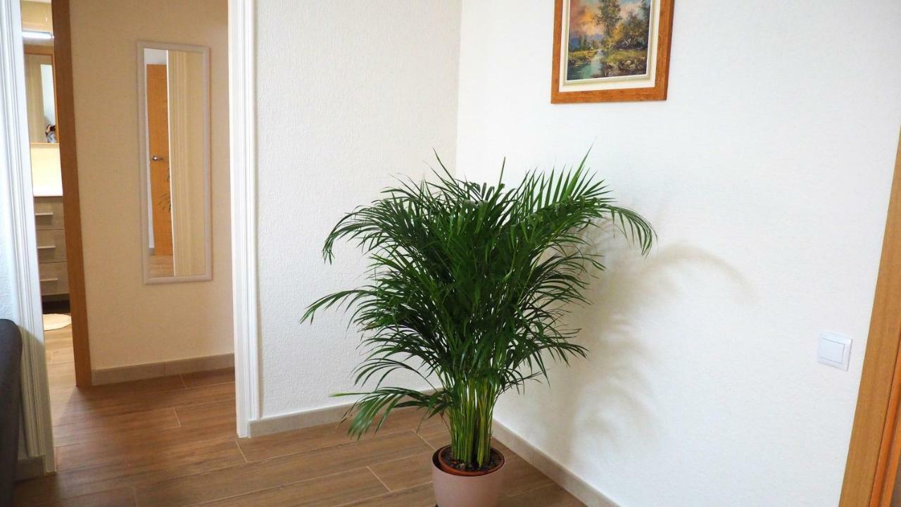 Apartamento En Ani Alicante Exteriör bild